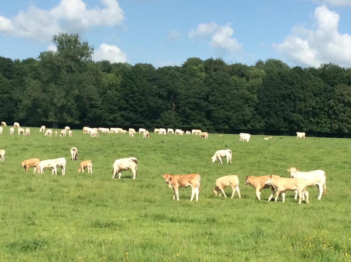 Selvigny Aux Bois Dores De La Ferme De Sorval, Animaux De La Ferme, Fitness מראה חיצוני תמונה