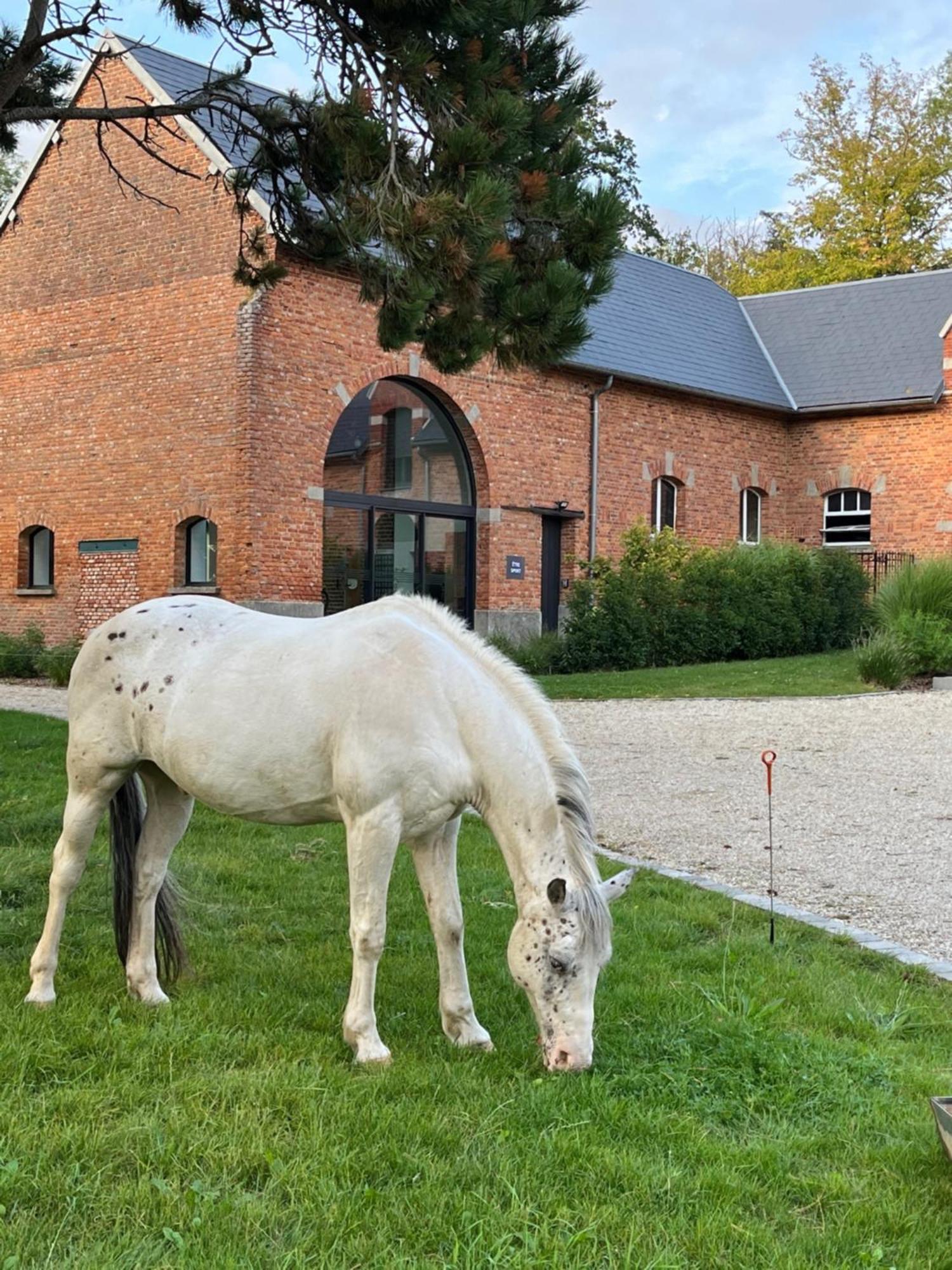 Selvigny Aux Bois Dores De La Ferme De Sorval, Animaux De La Ferme, Fitness מראה חיצוני תמונה